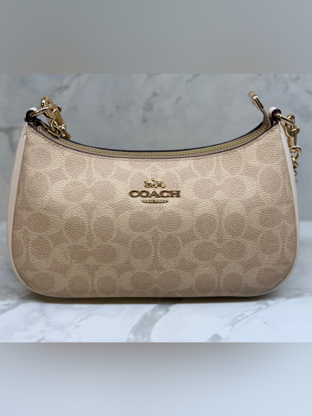 Coach Teri Bag